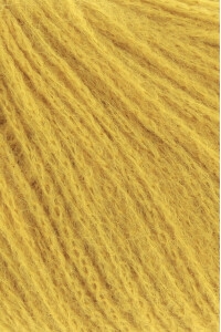 1134_0050_guld