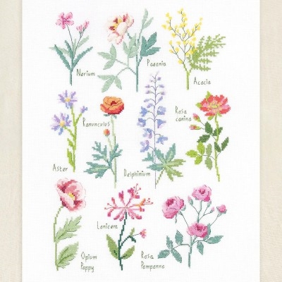 Botanical Sampler - DMC